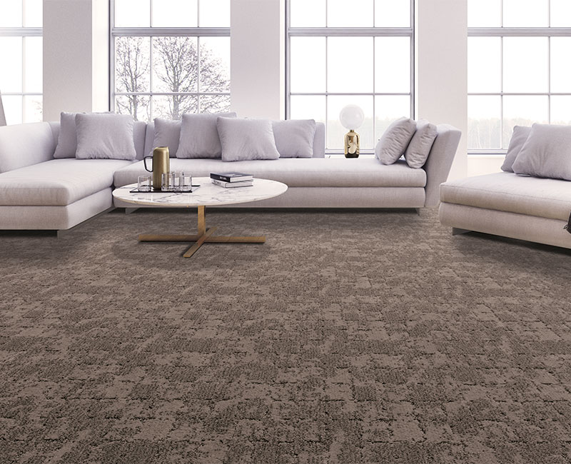 brown cut loop carpet in living room with white couch